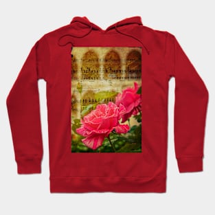 Turkey. Istanbul. Roses of the Blue Mosque. Hoodie